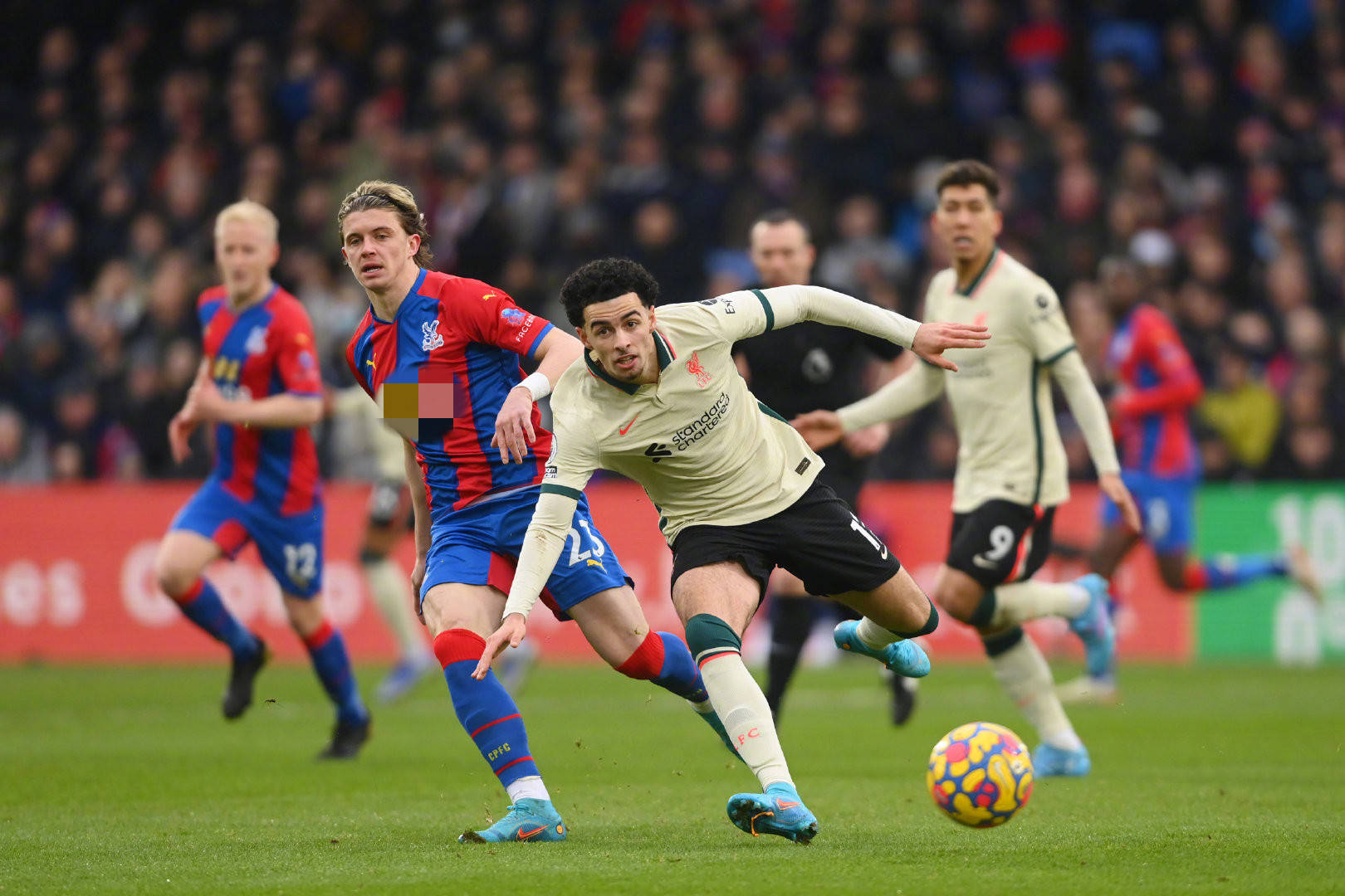 甚至能够征 甚至能够征